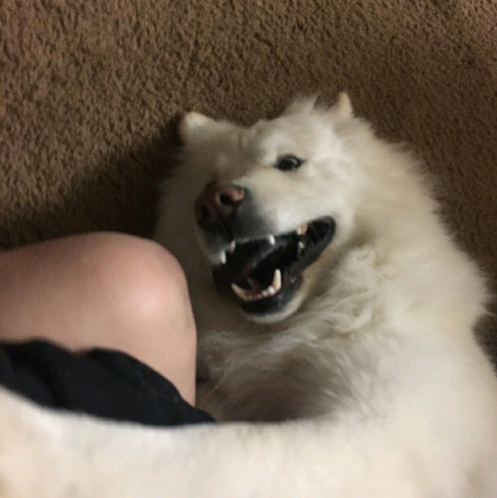 Meet your Posher, Elizabeth